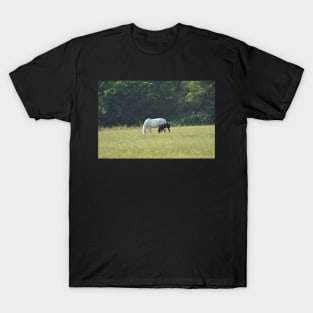 Mare and Foal T-Shirt